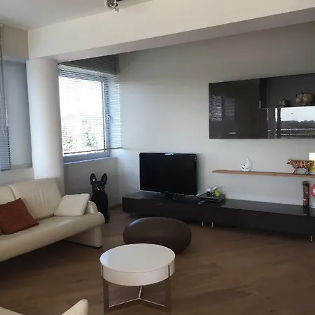 Scheldepunt Гент